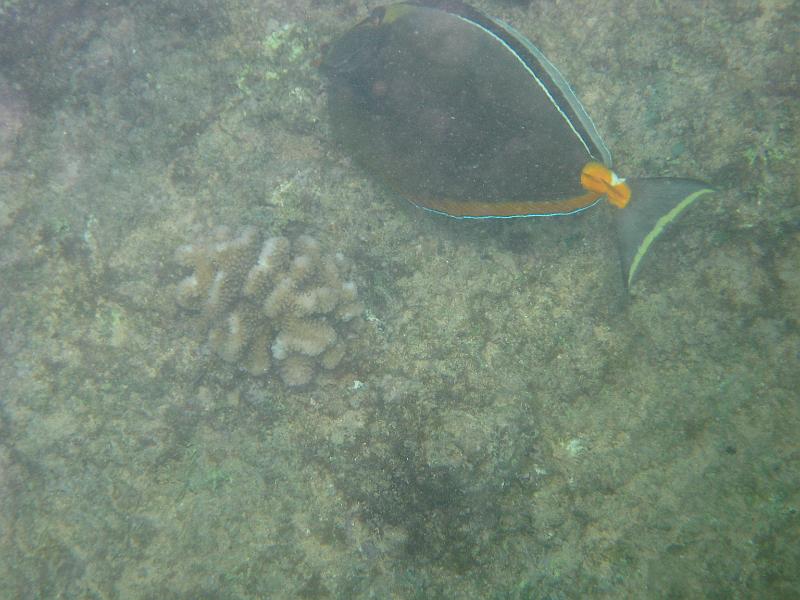 Picture 088